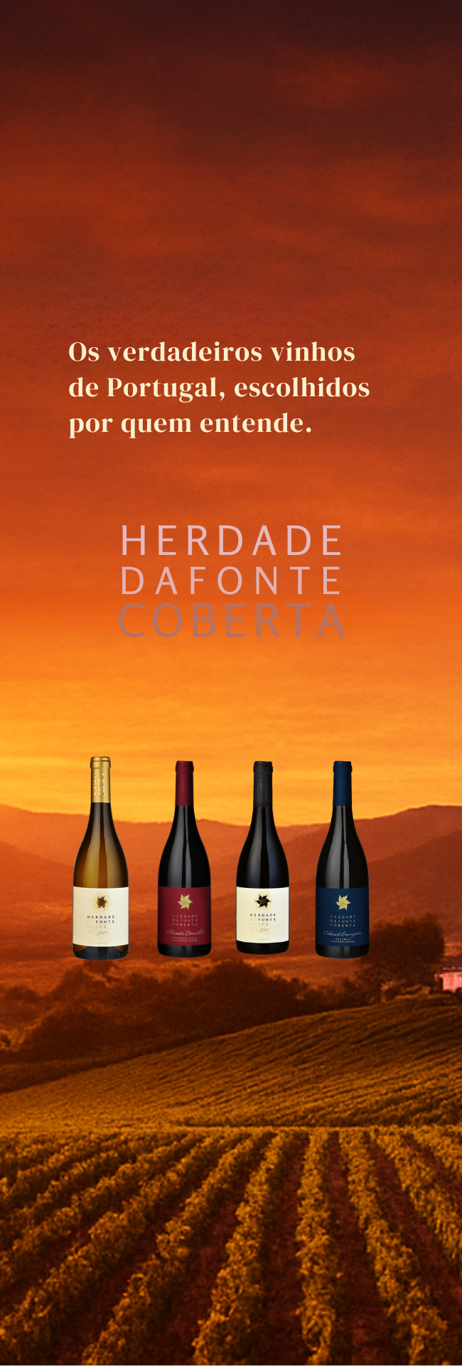 Vinhos portugueses em promoção - Tintos, Brancos e Rosés com desconto | Overwine