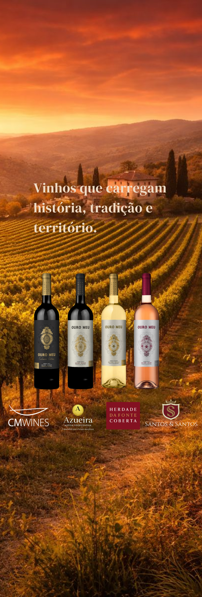 Novos vinhos portugueses chegando - Regiões do Douro, Alentejo e Dão | Overwine