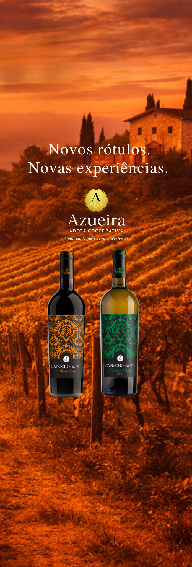 Vinhos portugueses selecionados - Importação direta das melhores adegas de Portugal