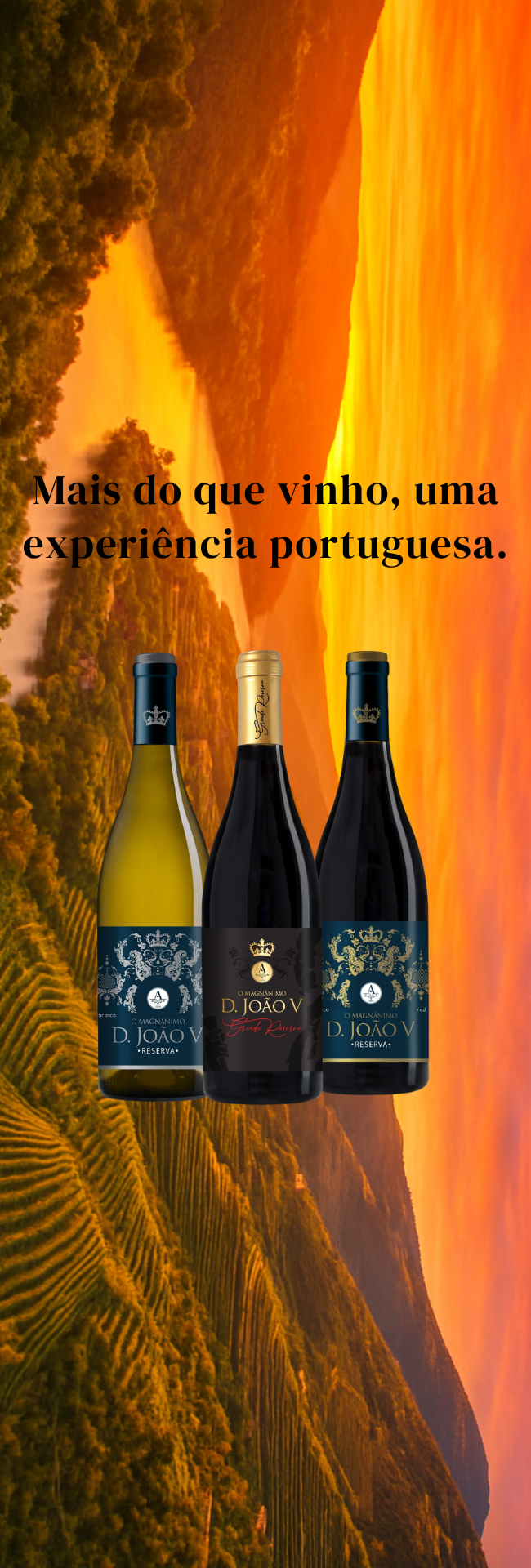 Catálogo completo de vinhos portugueses - Tintos encorpados, Brancos frescos e Rosés elegantes